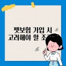 고려펫