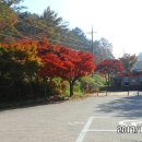 장동 산디마을입구 주차장 이미지
