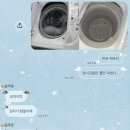 재민목장 | 어라 어항에 살고 있나