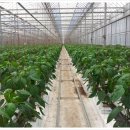 순만농장 이미지