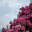 내리몽바닷가 이미지