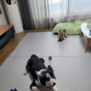 행복한그림이 이미지