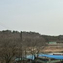섬진강메기매운탕전문점 | 순창 맛집 | 섬진강 근처 향가산장 | 메기매운탕 메기찜 전문점 | 솔직후기