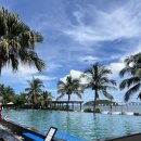 438 | 여행_아미아나리조트 프리미어 디럭스 오션뷰 빌라(438번방) 내돈내산 후기_잠귀가 밝으면 매우 힘들듯..