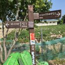 괴시2리 관어대 입구 Daum카페
