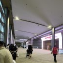 주차16 | 2025 케이펫페어 서울_2025.08.13(수)~16(토) 1일차 후기 + 주차꿀팁