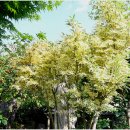 초원의집 이미지