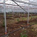 울안농장 이미지