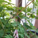 벌이네민박 이미지