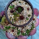 바위솔민박 | [담양 한옥마을 숙소] 정자가있는우리한옥펜션