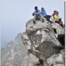 원더풀3 이미지