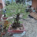 포포농장 이미지