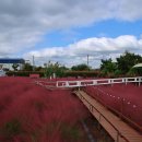 바람새마을 이미지