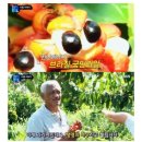 온성에너지 이미지