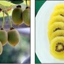 백이산 농장 이미지