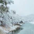 의림지 공영주차장 이미지