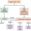 Comorbid Diseases in Pregnancy - 응급의학 099