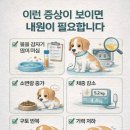 아델동물병원 이미지