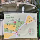 전라도농장 | 고창 청보리밭 축제 학원농장 유채꽃 개화 현황