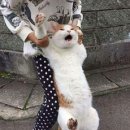 (주)제이오