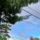 안청초등학교 이미지