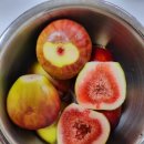 크린빌세탁 이미지