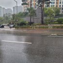 난 직장이 필요한 게 아니야, 돈이 필요한 거지