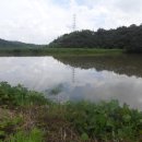 영암터미널 이미지