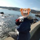 바다산책민박 이미지