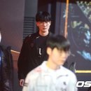팀딜라이트 이미지