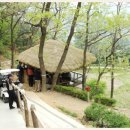 올림픽 골프장 이미지