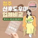 장전로(3-370) | [청주 산후도우미 업체 추천 후기 비교] 흥덕보건소 산후도우미 신청 / 청주 정부지원 산후도우미 업체...