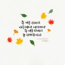 송선로R1-26 | 四字成語 총정리 <ㄱ> 277 개화촉진~객관적가치