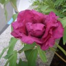 한우리교회 이미지