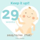 덕계 태권도 | 둘째 임신일기_첫 눈❄️, 41개월 애개육아, 31주 1일부터 단축근무, 출산전후휴가 준비✨(29주-31주)