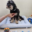 멍더가든 이미지