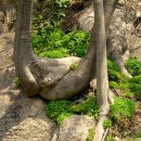 왕포리조텔 이미지