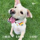 다인리치뷰 | 뜨거움미다