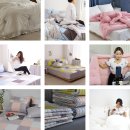 광주세종 이미지