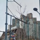 서초엘산부인과의원 이미지