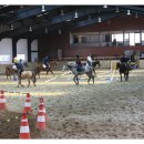 연천승마공원 이미지