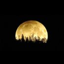🌕 소원 빌기 좋은 오늘 밤🌕 이미지