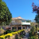 영암오리 | 영암 월출산 국화축제 맛집, 기찬랜드 철판요리전문점 더덕백반 후기