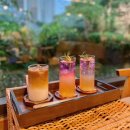 프레스트 | 부산 기장 정원이 있는 한옥 카페 프레스트 재방문