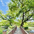 충혼각 화장실 이미지