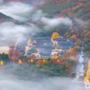 내몸편안한의원 이미지