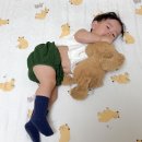 자연인견 | 아기쿨매트 추천, 건조기 가능한 도노도노 인견 쿨매트 후기