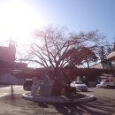 간성읍          행정복지센터 이미지