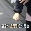 하남] 스타필드 하남 아쿠아필드&amp;찜질방 방문/ 안스베이커리, 피자스탠드, 긴타코, 하남 명륜진사갈비 후기