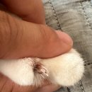 더블리스동물의료센터 이미지